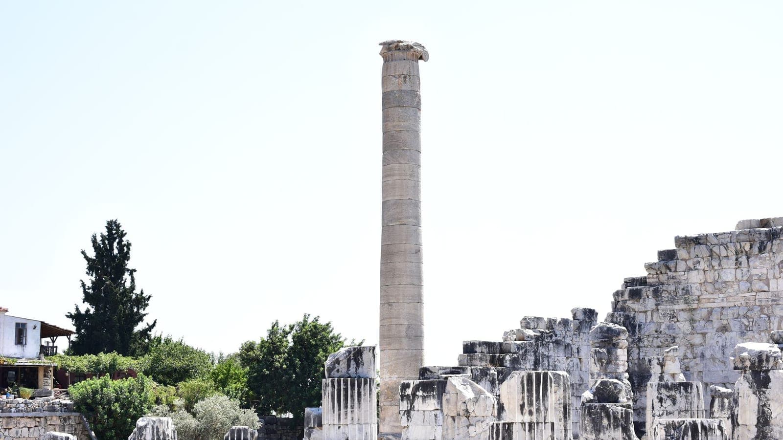 Didim, Bodrum
