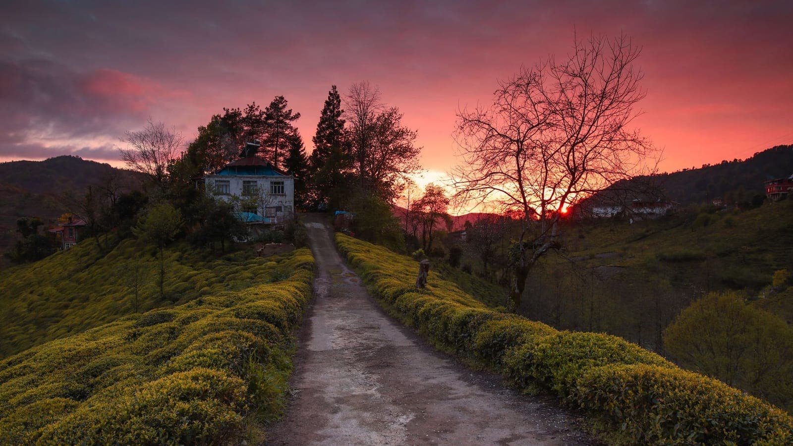 Rize, Trabzon